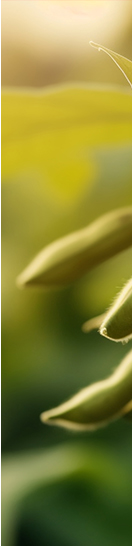 智慧農業|氣象環境